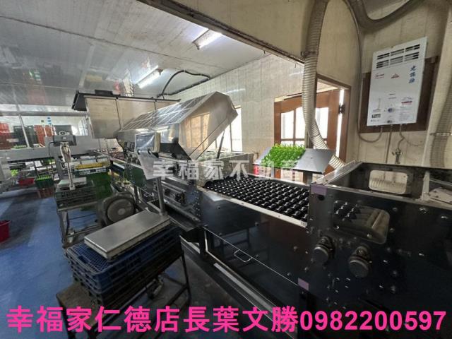 鹽水畜牧場-2