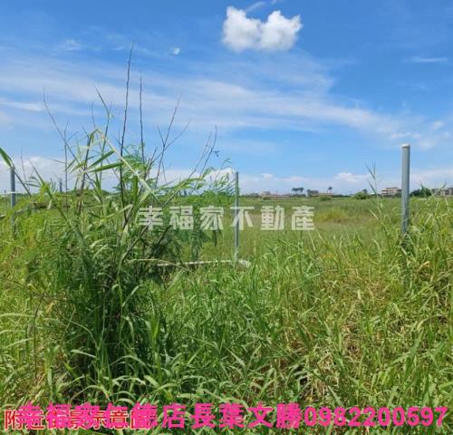 台南農地-10