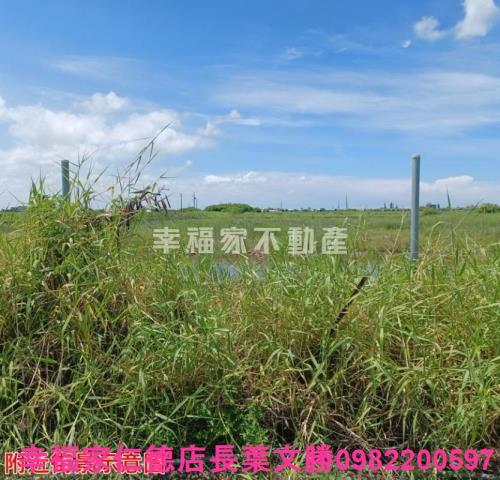 台南農地-1