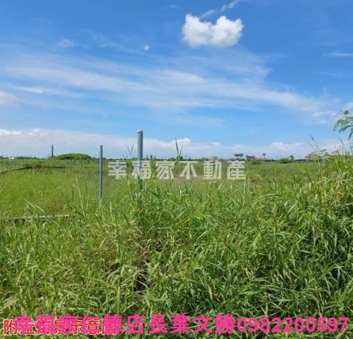 台南農地-3