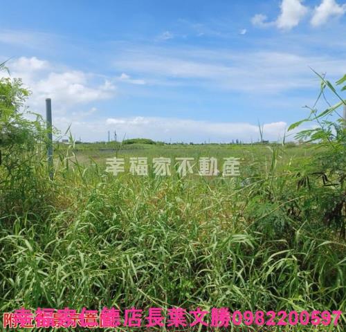 台南農地-7