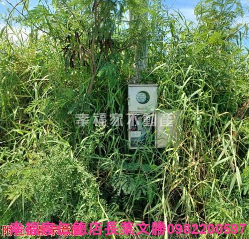 台南農地-8