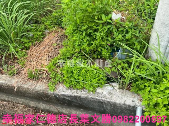 台南農地-6