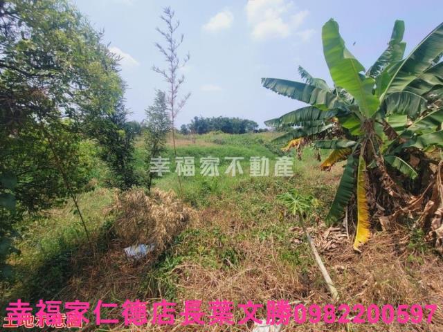 台南農地-1
