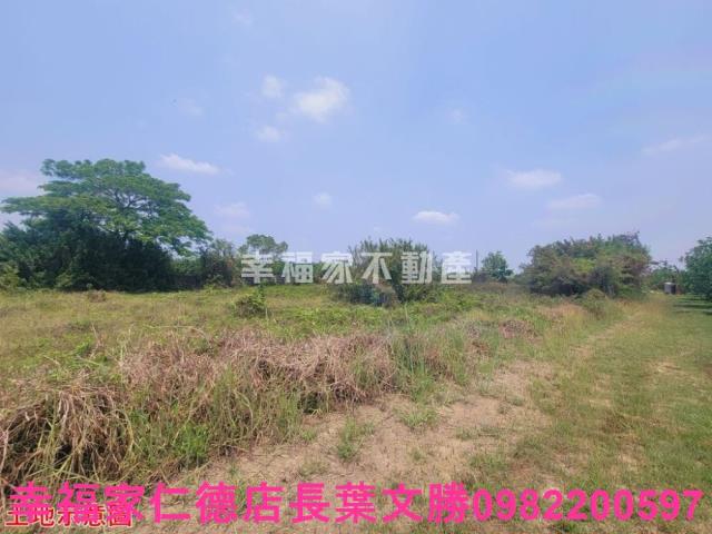 台南農地-2
