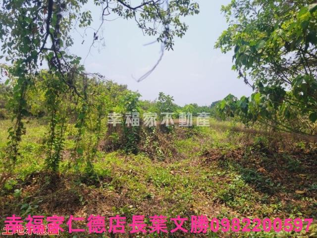 台南農地-4