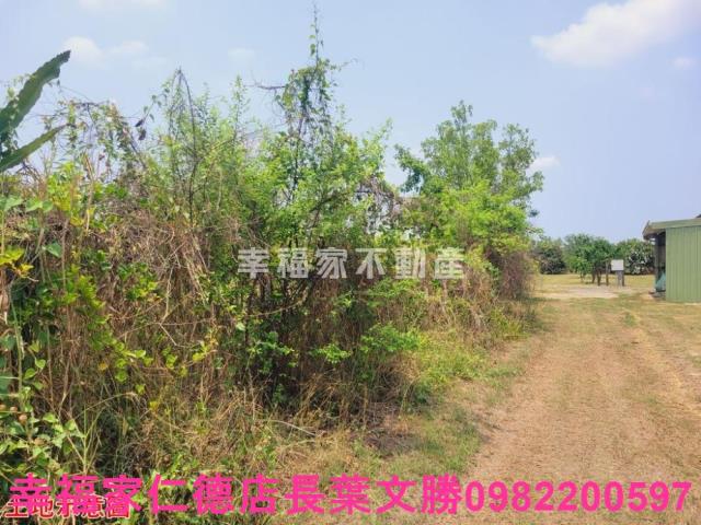 台南農地-6