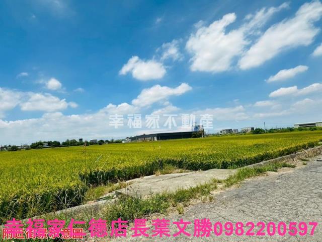 台南農地-11