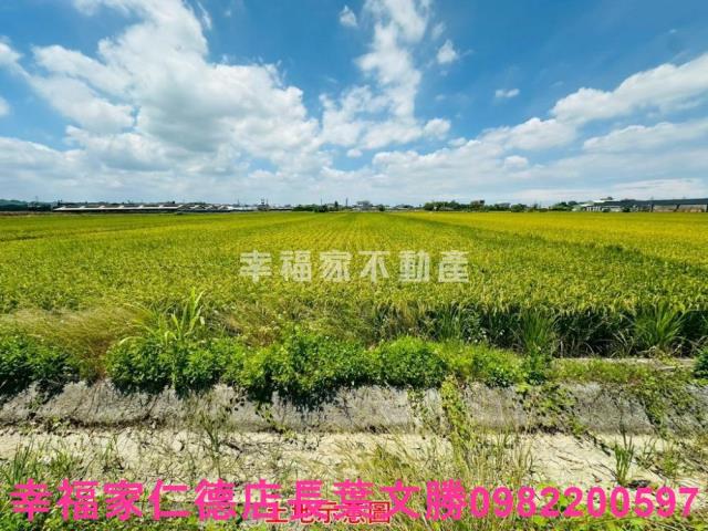 台南農地-13