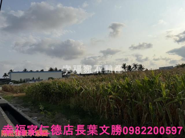 台南農地-10