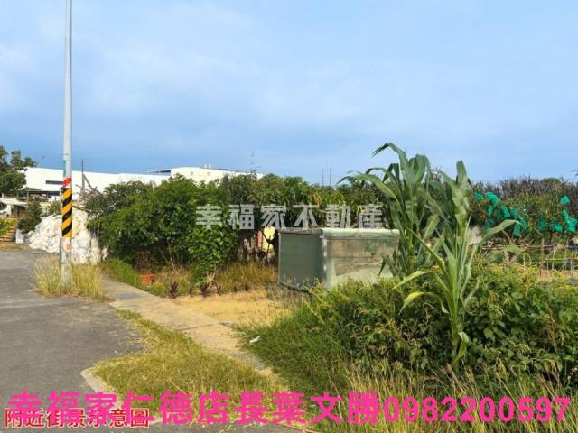台南農地-7
