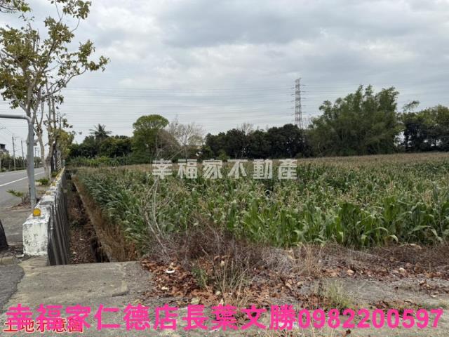 台南農地-9
