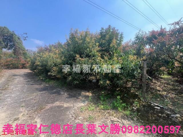 台南官田農地-11