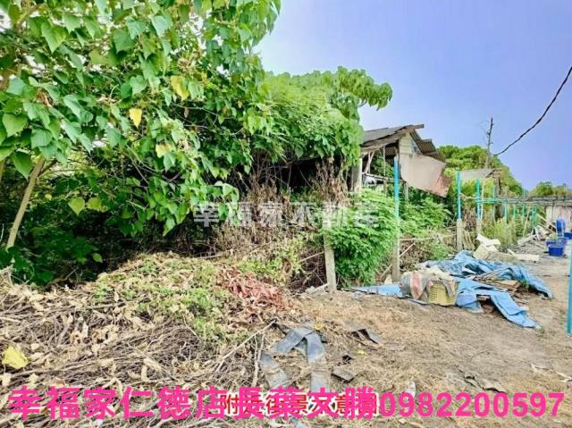 佳里農地-12