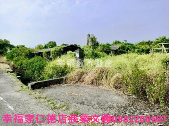 佳里農地-14