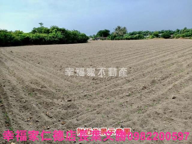 佳里農地-3