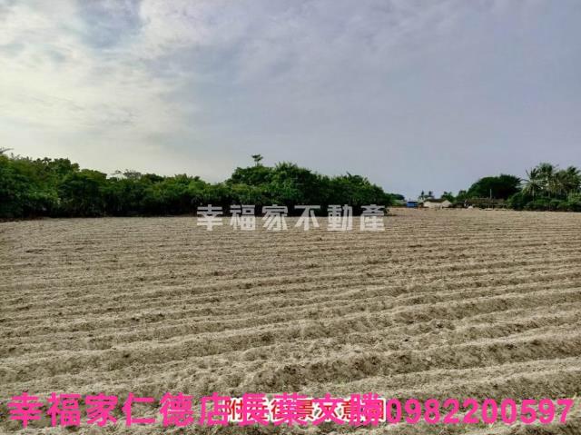 佳里農地-4