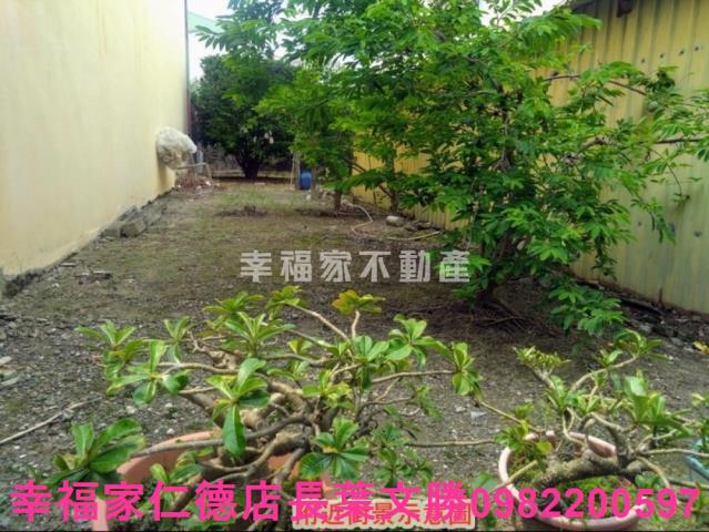 新市建地-0