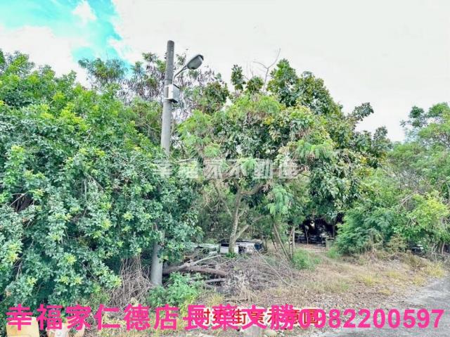 七股農地-10