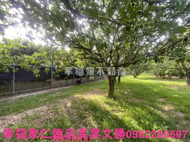 麻豆農地-3