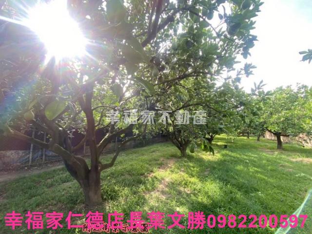 麻豆農地-4