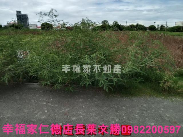 七股農地-12