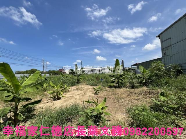 仁德農地-13