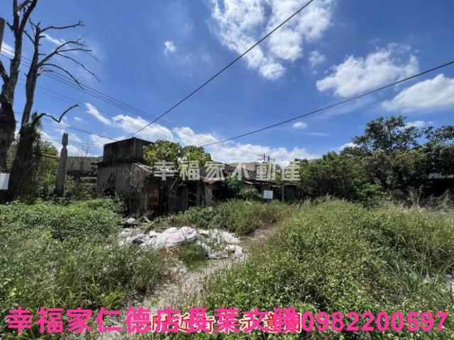 仁德農地-12