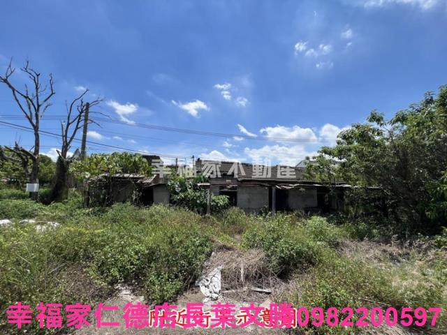 仁德農地-13