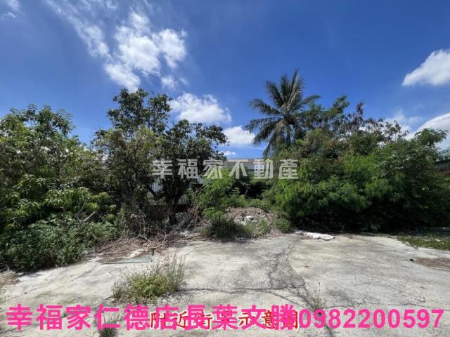 仁德農地-3