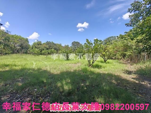 麻豆農地-12