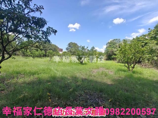 麻豆農地-14