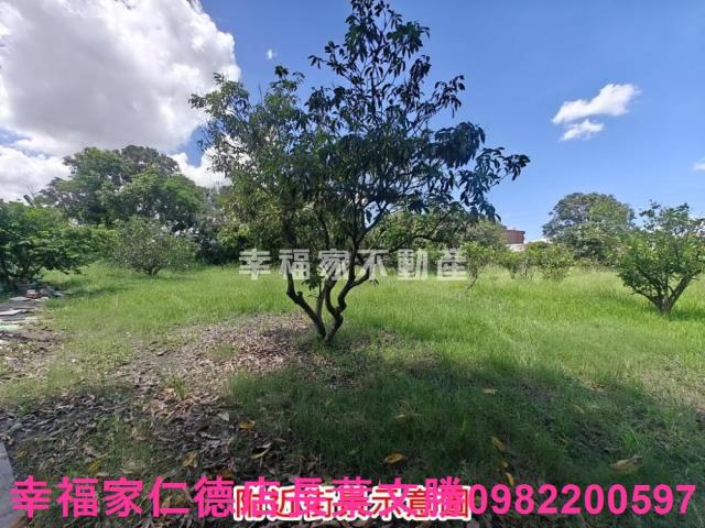 麻豆農地-3