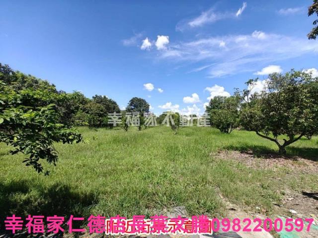 麻豆農地-5