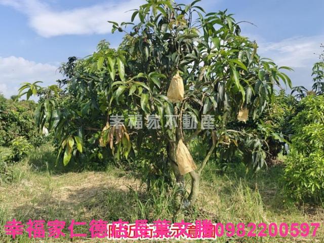 官田農地-9