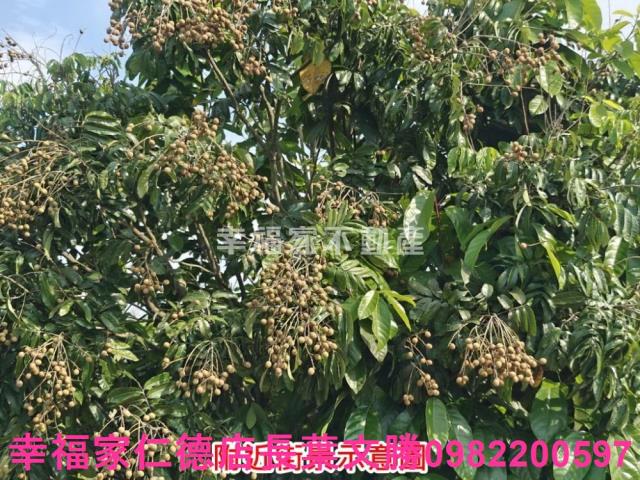 官田農地-10