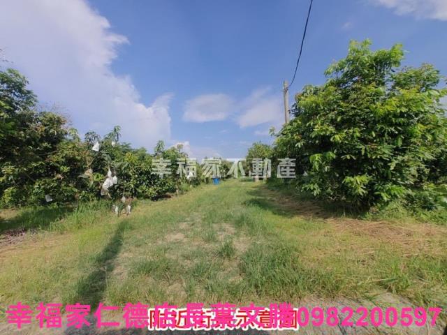 官田農地-12
