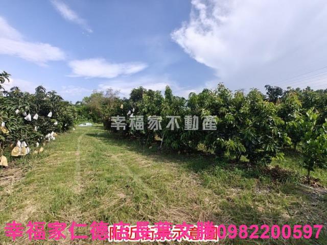 官田農地-13