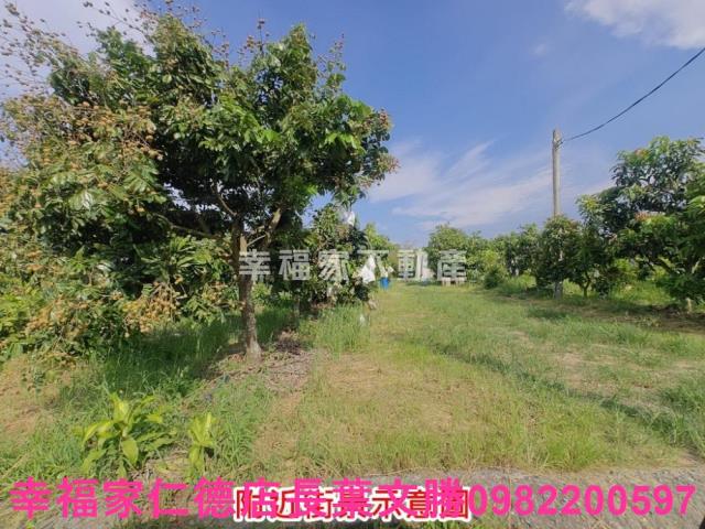 官田農地-2