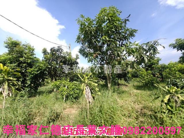 官田農地-5