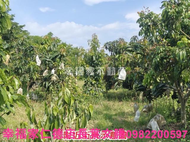 官田農地-6