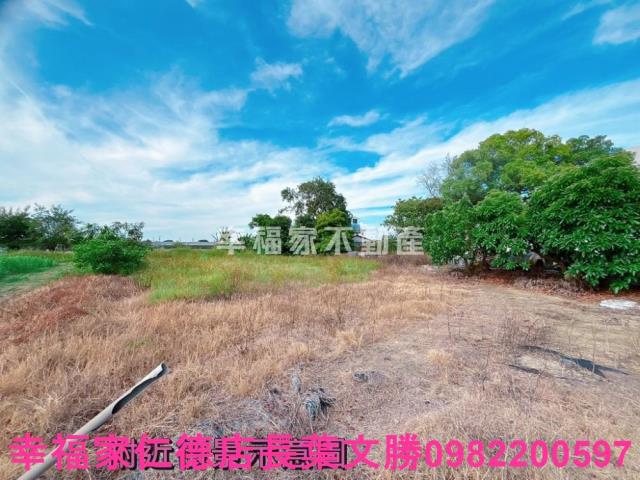善化農地-1
