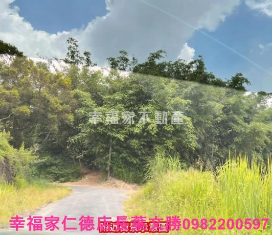 台南農地-0