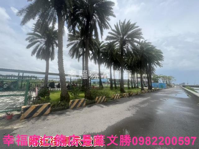 台南農地-5