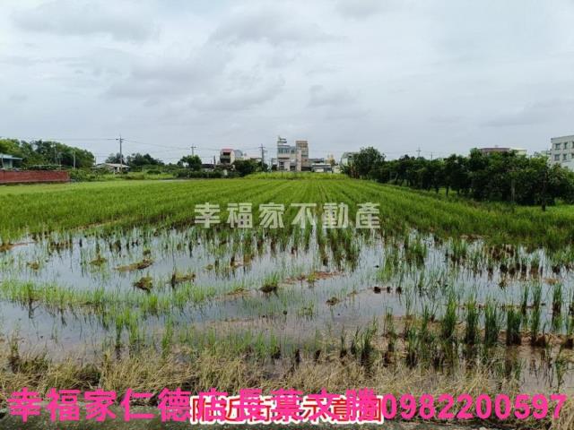 台南農地-13
