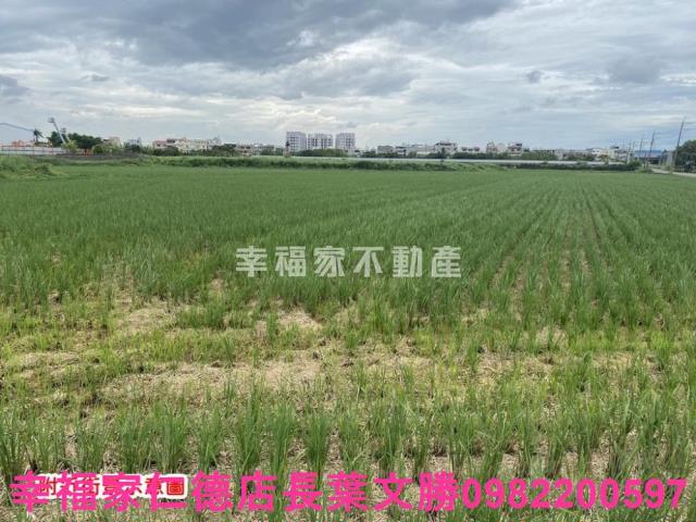 台南農地-12
