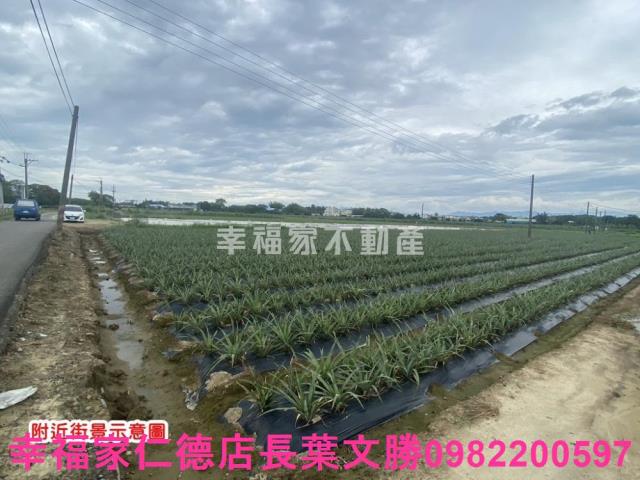台南農地-11