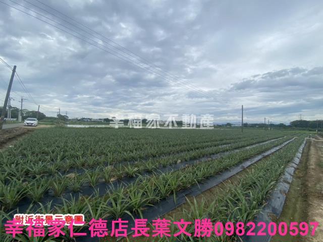 台南農地-0