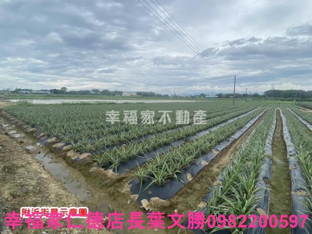 台南農地-2