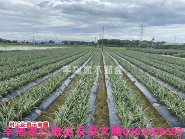 台南農地-4